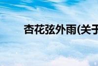 杏花弦外雨(关于杏花弦外雨的简介)