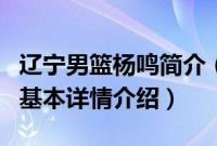 辽宁男篮杨鸣简介（关于辽宁男篮杨鸣简介的基本详情介绍）