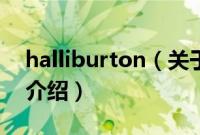 halliburton（关于halliburton的基本详情介绍）