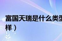 富国天瑞是什么类型基金（富国天瑞基金怎么样）