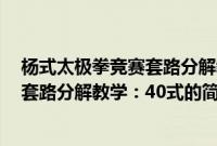 杨式太极拳竞赛套路分解教学：40式(关于杨式太极拳竞赛套路分解教学：40式的简介)