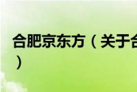 合肥京东方（关于合肥京东方的基本详情介绍）