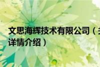 文思海辉技术有限公司（关于文思海辉技术有限公司的基本详情介绍）