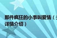 那件疯狂的小事叫爱情（关于那件疯狂的小事叫爱情的基本详情介绍）