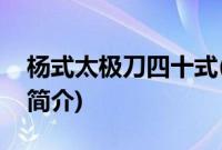 杨式太极刀四十式(关于杨式太极刀四十式的简介)