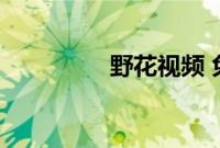 野花视频 免费 在线 播放