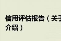 信用评估报告（关于信用评估报告的基本详情介绍）