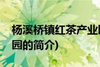 杨溪桥镇红茶产业园(关于杨溪桥镇红茶产业园的简介)