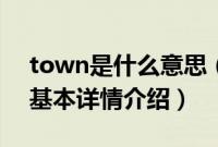 town是什么意思（关于town是什么意思的基本详情介绍）