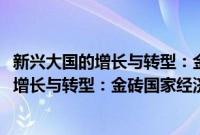 新兴大国的增长与转型：金砖国家经济研究(关于新兴大国的增长与转型：金砖国家经济研究的简介)