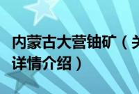 内蒙古大营铀矿（关于内蒙古大营铀矿的基本详情介绍）