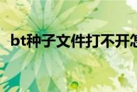 bt种子文件打不开怎么办（bt种子打不开）