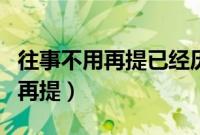 往事不用再提已经历太多风雨歌词（往事不用再提）