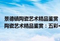 景德镇陶瓷艺术精品鉴赏：五彩·新彩·综合装饰(关于景德镇陶瓷艺术精品鉴赏：五彩·新彩·综合装饰的简介)