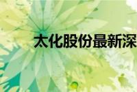 太化股份最新深度分析（太化股份）