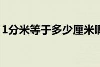 1分米等于多少厘米啊（1分米等于多少厘米）