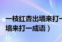 一枝红杏出墙来打一成语四个字（一枝红杏出墙来打一成语）