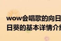 wow会唱歌的向日葵（关于wow会唱歌的向日葵的基本详情介绍）