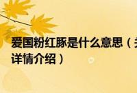 爱国粉红豚是什么意思（关于爱国粉红豚是什么意思的基本详情介绍）