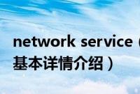 network service（关于network service的基本详情介绍）