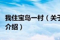 我住宝岛一村（关于我住宝岛一村的基本详情介绍）