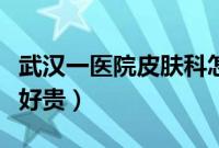 武汉一医院皮肤科怎么样（武汉一医院皮肤科好贵）