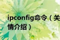 ipconfig命令（关于ipconfig命令的基本详情介绍）