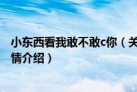 小东西看我敢不敢c你（关于小东西看我敢不敢c你的基本详情介绍）