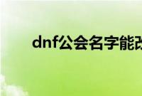 dnf公会名字能改吗（dnf公会名字）