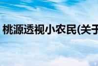 桃源透视小农民(关于桃源透视小农民的简介)