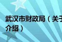 武汉市财政局（关于武汉市财政局的基本详情介绍）