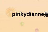 pinkydianne是什么牌子（pinky）