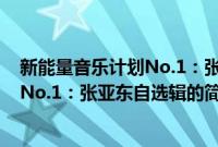 新能量音乐计划No.1：张亚东自选辑(关于新能量音乐计划No.1：张亚东自选辑的简介)