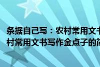 条据自己写：农村常用文书写作金点子(关于条据自己写：农村常用文书写作金点子的简介)