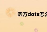 浩方dota怎么进（浩方dota）