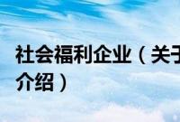 社会福利企业（关于社会福利企业的基本详情介绍）