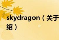 skydragon（关于skydragon的基本详情介绍）