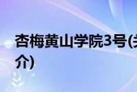 杏梅黄山学院3号(关于杏梅黄山学院3号的简介)