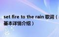 set fire to the rain 歌词（关于set fire to the rain 歌词的基本详情介绍）