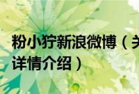 粉小狞新浪微博（关于粉小狞新浪微博的基本详情介绍）