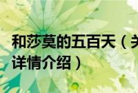 和莎莫的五百天（关于和莎莫的五百天的基本详情介绍）