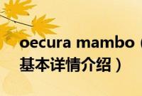 oecura mambo（关于oecura mambo的基本详情介绍）