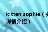 kitten sophie（关于kitten sophie的基本详情介绍）