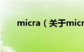 micra（关于micra的基本详情介绍）