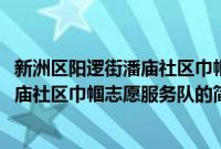 新洲区阳逻街潘庙社区巾帼志愿服务队(关于新洲区阳逻街潘庙社区巾帼志愿服务队的简介)