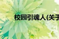 校园引魂人(关于校园引魂人的简介)