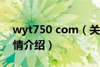 wyt750 com（关于wyt750 com的基本详情介绍）