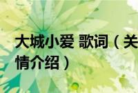 大城小爱 歌词（关于大城小爱 歌词的基本详情介绍）