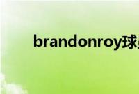 brandonroy球员（brandon roy）