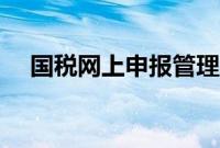 国税网上申报管理平台（国税网上申报）